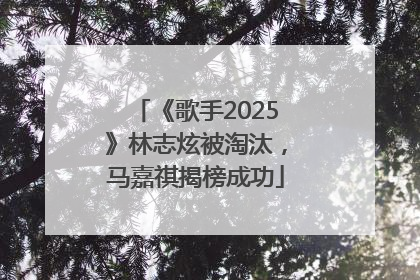 《歌手2025》林志炫被淘汰，马嘉祺揭榜成功