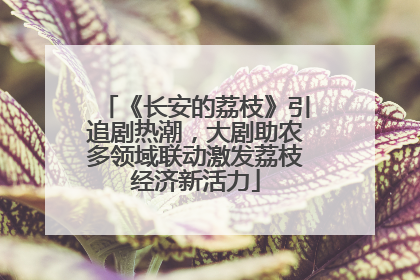 《长安的荔枝》引追剧热潮，大剧助农多领域联动激发荔枝经济新活力