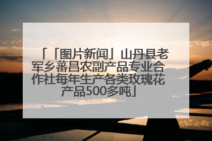 「图片新闻」山丹县老军乡蕃昌农副产品专业合作社每年生产各类玫瑰花产品500多吨