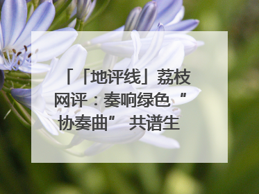 「地评线」荔枝网评：奏响绿色“协奏曲” 共谱生态“新乐章”