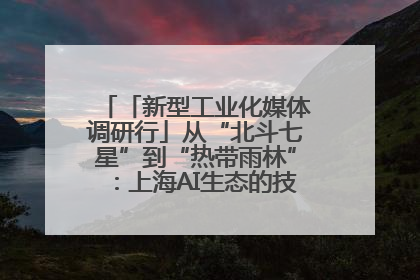 「新型工业化媒体调研行」从“北斗七星”到“热带雨林”：上海AI生态的技术商业共生密码