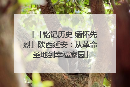 「铭记历史 缅怀先烈」陕西延安：从革命圣地到幸福家园