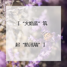 “火焰蓝”筑起“防汛墙”