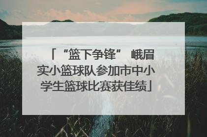 “篮下争锋” 峨眉实小篮球队参加市中小学生篮球比赛获佳绩