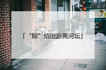 “粽”情出游黄河坛