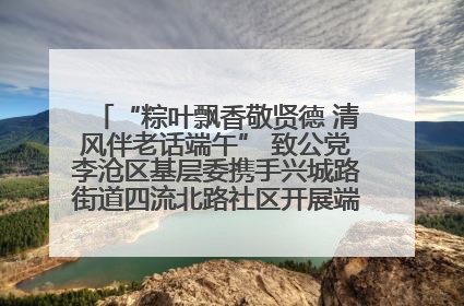 “粽叶飘香敬贤德 清风伴老话端午” 致公党李沧区基层委携手兴城路街道四流北路社区开展端午节主题活动