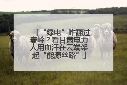 “绿电”咋翻过秦岭？看甘肃电力人用血汗在云端架起“能源丝路”