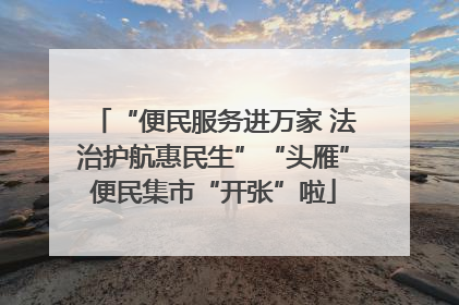 “便民服务进万家 法治护航惠民生”“头雁”便民集市“开张”啦