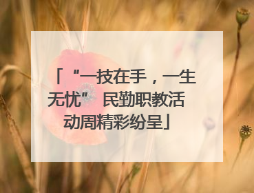“一技在手，一生无忧” 民勤职教活动周精彩纷呈