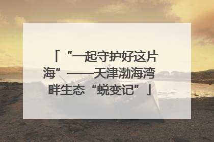 “一起守护好这片海”——天津渤海湾畔生态“蜕变记”