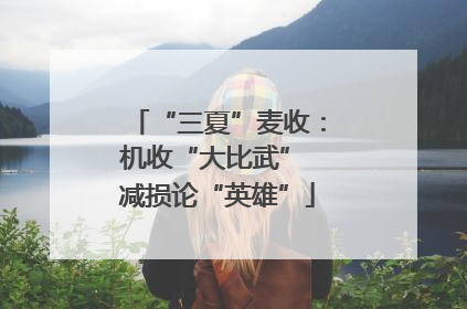 “三夏”麦收：机收“大比武” 减损论“英雄”