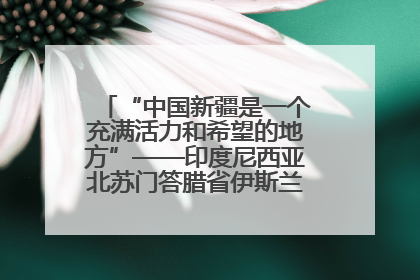 “中国新疆是一个充满活力和希望的地方”——印度尼西亚北苏门答腊省伊斯兰教代表团参访新疆