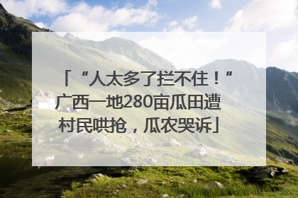 “人太多了拦不住！”广西一地280亩瓜田遭村民哄抢，瓜农哭诉