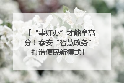 “事好办”才能拿高分！泰安“智慧政务”打造便民新模式