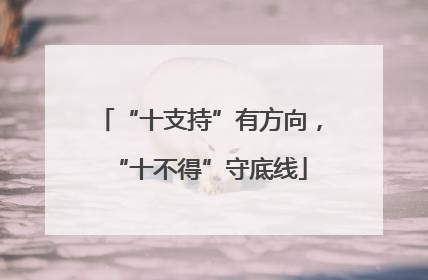 “十支持”有方向，“十不得”守底线