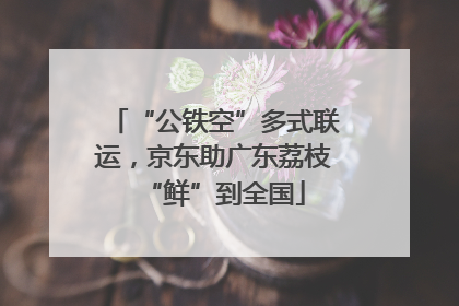 “公铁空”多式联运，京东助广东荔枝“鲜”到全国