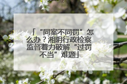 “同案不同罚”怎么办？湘阴行政检察监督着力破解“过罚不当”难题