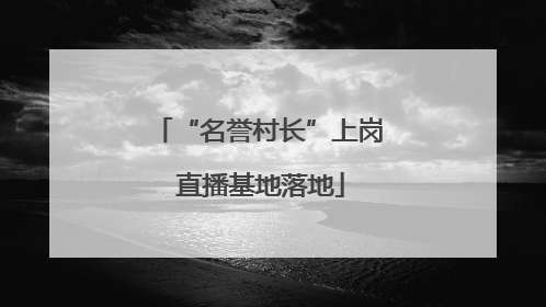 “名誉村长”上岗 直播基地落地