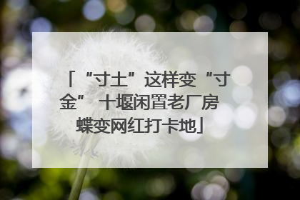 “寸土”这样变“寸金” 十堰闲置老厂房蝶变网红打卡地