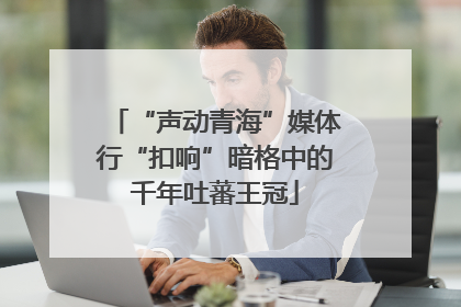 “声动青海”媒体行“扣响”暗格中的千年吐蕃王冠