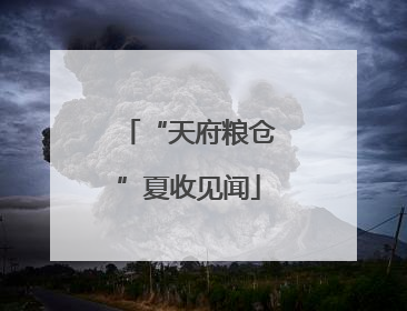 “天府粮仓”夏收见闻