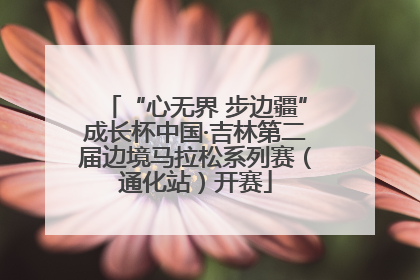 “心无界 步边疆”成长杯中国·吉林第二届边境马拉松系列赛（通化站）开赛