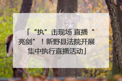 “执”击现场 直播“亮剑”！新野县法院开展集中执行直播活动