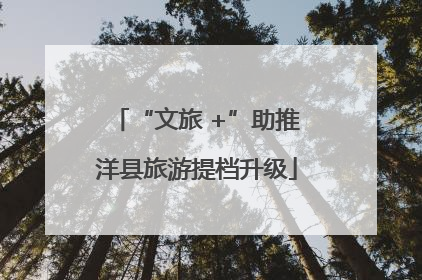 “文旅 +”助推洋县旅游提档升级