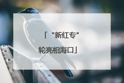 “新红专”轮亮相海口