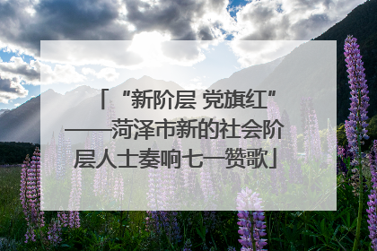 “新阶层 党旗红”——菏泽市新的社会阶层人士奏响七一赞歌