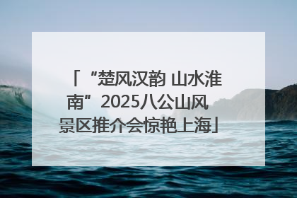 “楚风汉韵 山水淮南”2025八公山风景区推介会惊艳上海