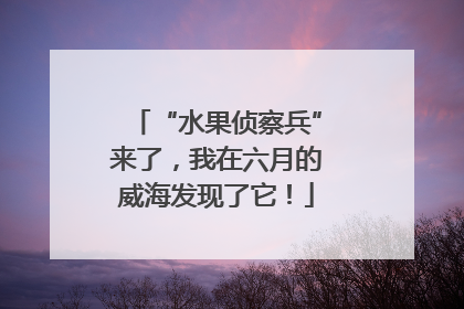 “水果侦察兵”来了，我在六月的威海发现了它！