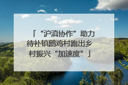 “沪滇协作”助力待补镇鹧鸡村跑出乡村振兴“加速度”