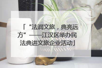 “法润文旅，典亮远方”——江汉区举办民法典进文旅企业活动