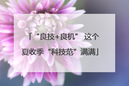 “良技+良机” 这个夏收季“科技范”满满