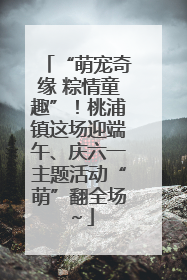 “萌宠奇缘 粽情童趣”！桃浦镇这场迎端午、庆六一主题活动“萌”翻全场～
