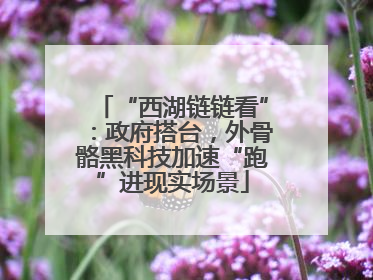 “西湖链链看”：政府搭台，外骨骼黑科技加速“跑”进现实场景