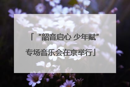 “韶音启心 少年赋”专场音乐会在京举行