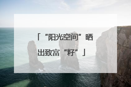 “阳光空间”晒出致富“籽”