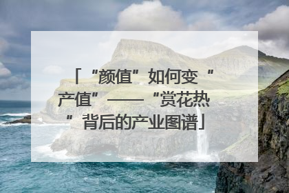 “颜值”如何变“产值”——“赏花热”背后的产业图谱