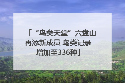 “鸟类天堂”六盘山再添新成员 鸟类记录增加至336种