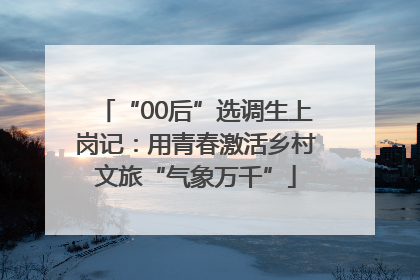 “00后”选调生上岗记：用青春激活乡村文旅“气象万千”