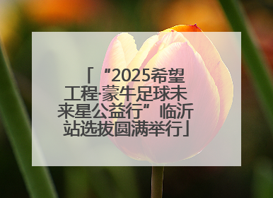 “2025希望工程·蒙牛足球未来星公益行”临沂站选拔圆满举行