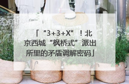 “3+3+X”！北京西城“枫桥式”派出所里的矛盾调解密码