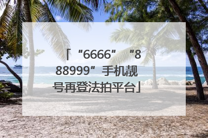 “6666”“888999”手机靓号再登法拍平台