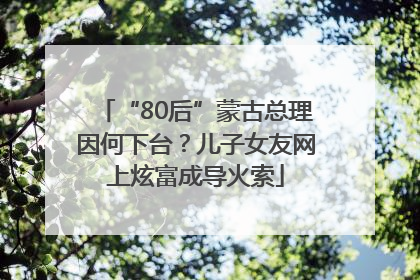 “80后”蒙古总理因何下台？儿子女友网上炫富成导火索