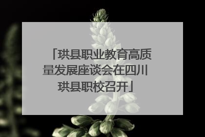 珙县职业教育高质量发展座谈会在四川珙县职校召开