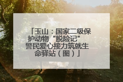 玉山：国家二级保护动物“脱险记” 警民爱心接力筑就生命驿站（图）