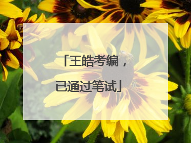 王皓考编，已通过笔试