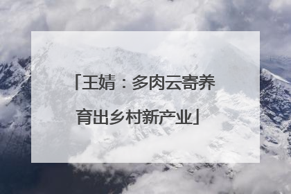 王婧：多肉云寄养 育出乡村新产业